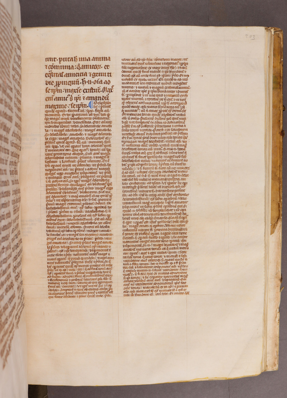 Folio 203 recto